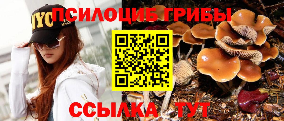 Галлюциногенные грибы мухоморы  Галлюциногенные грибы мицелий  Горячий Ключ  купить   Вход с VPN 