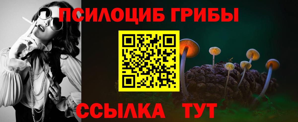 Галлюциногенные грибы прущие грибы Горячий Ключ